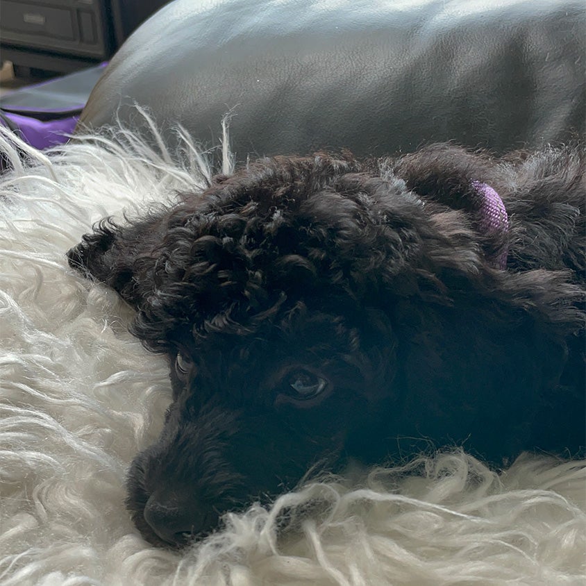 Weather Buddies: 'Jezebel'