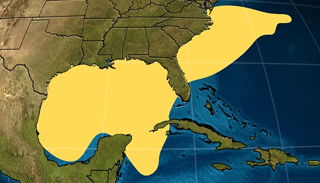 2023 Atlantic Hurricane Season Has Officially Begun &ndash; Here's What Is Typical In June And July