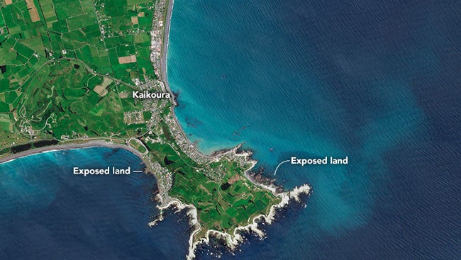Satellite Images Show New Land Exposed by Powerful New Zealand Earthquake