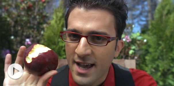 Seasoned With Weather: Apples