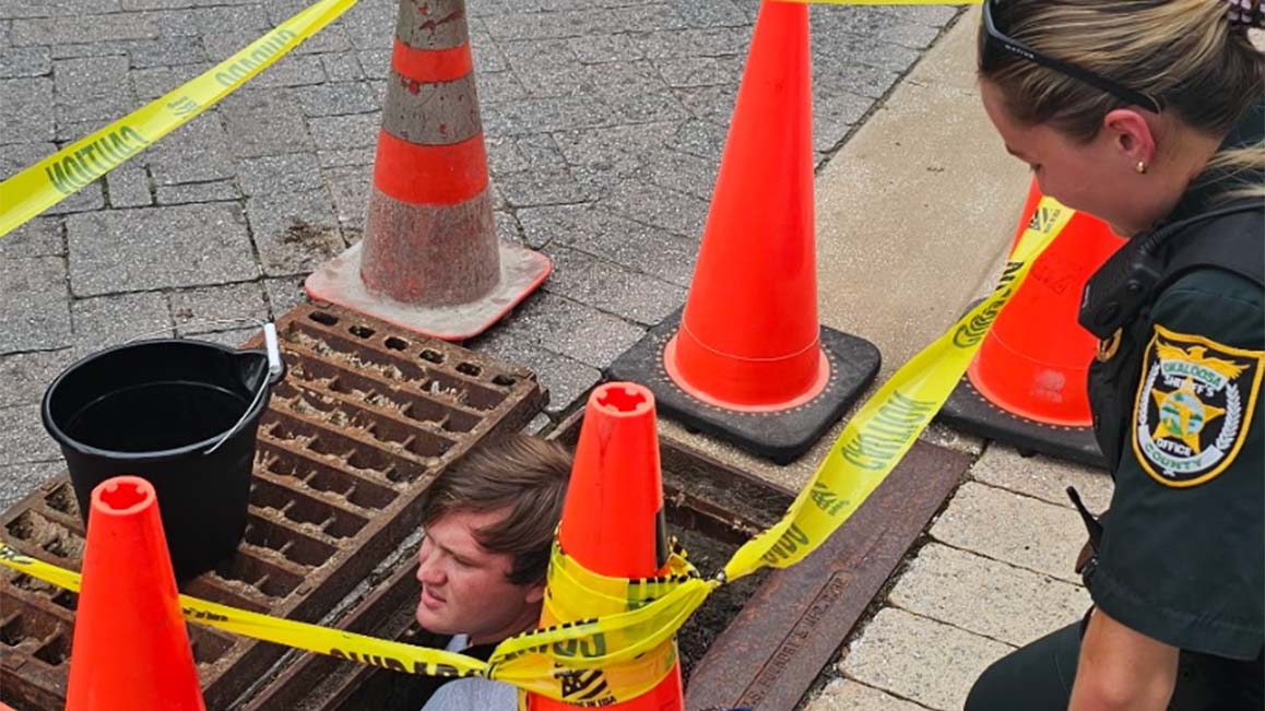 A cat being rescued by first responders