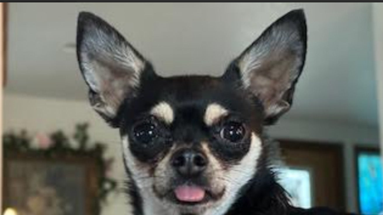 Weather Buddies: 'Lali'