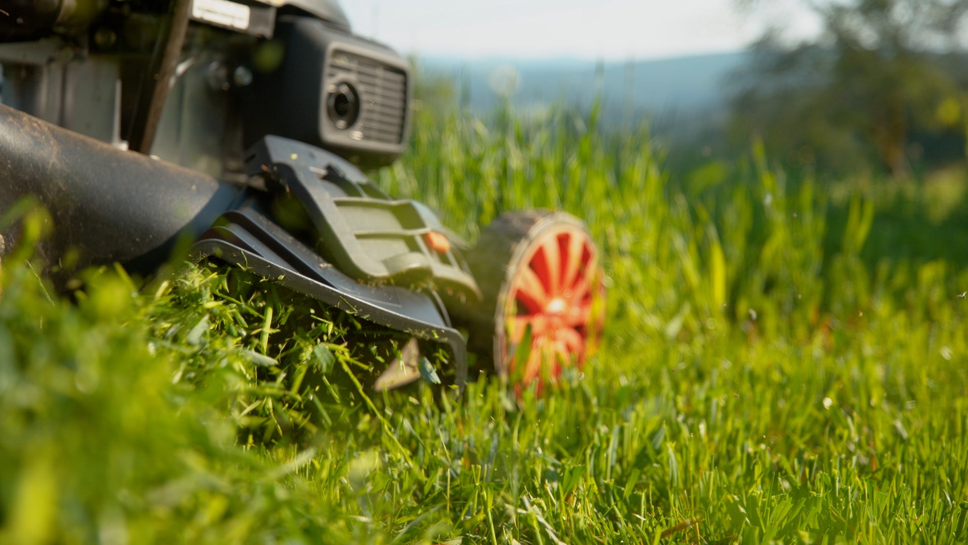 Is It Good To Leave Grass Clippings On The Lawn?