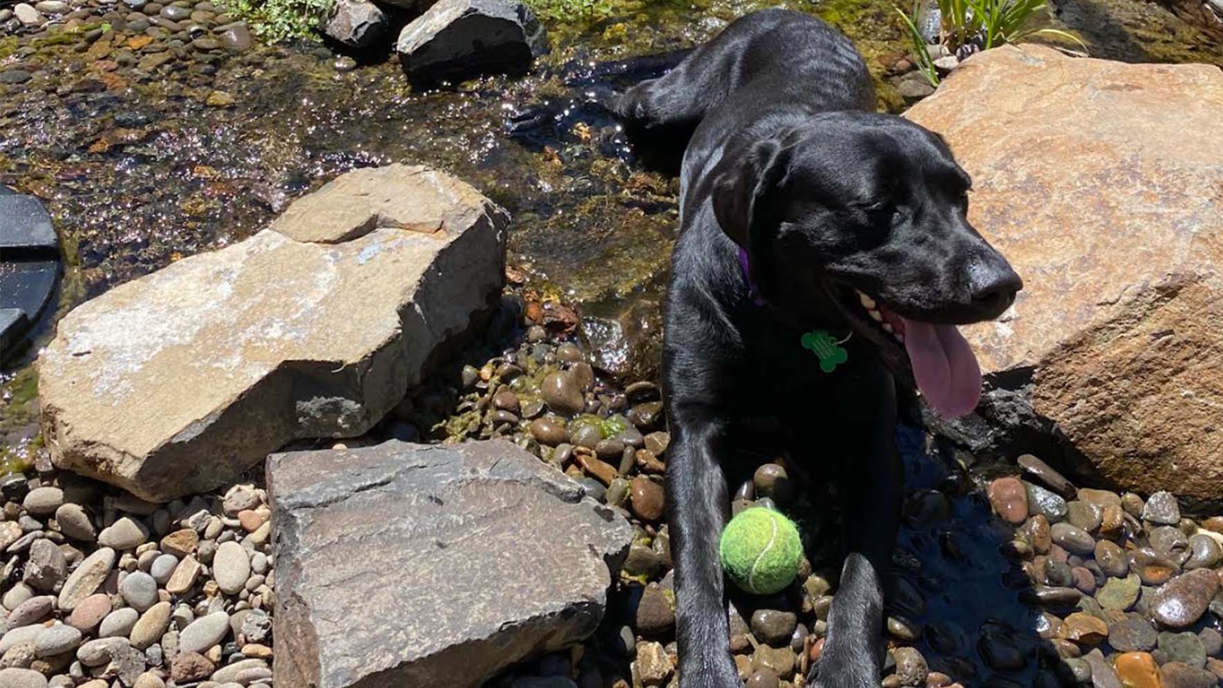 Weather Buddies: 'Lena'