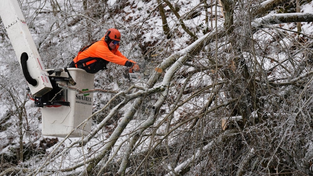 Weather Whiz: February 1