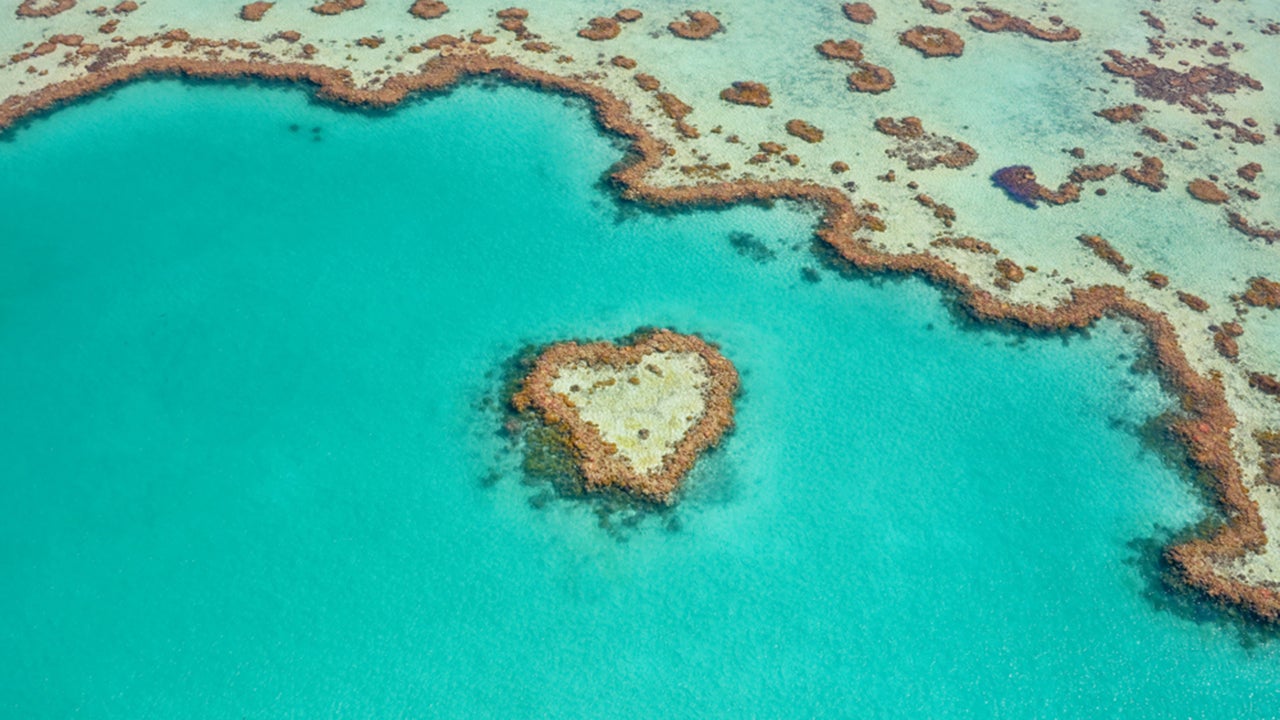 PHOTOS: The Stunning Colors of the Sea Captured from Above