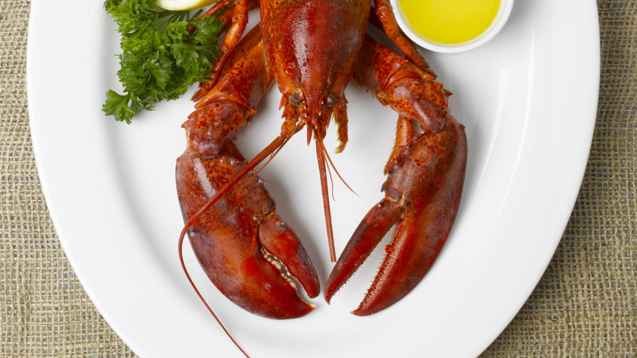 Lobster Prices On The Rise 