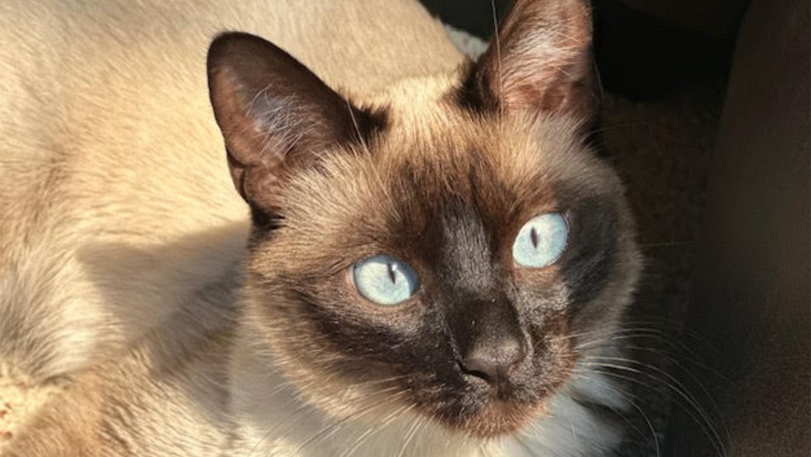 Weather Buddies: 'Meilee'