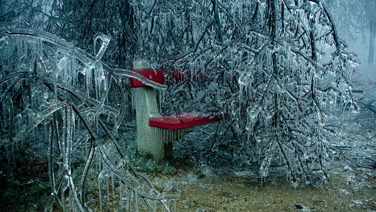 Eerie Photos of Town Transformed Into Frozen Wonderland After Icy Weather