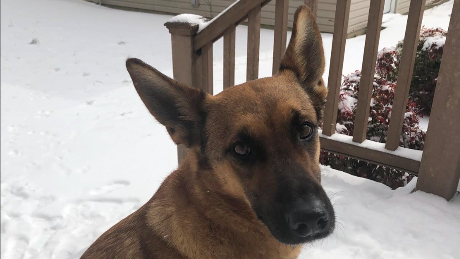 Weather Buddies: 'Mia'