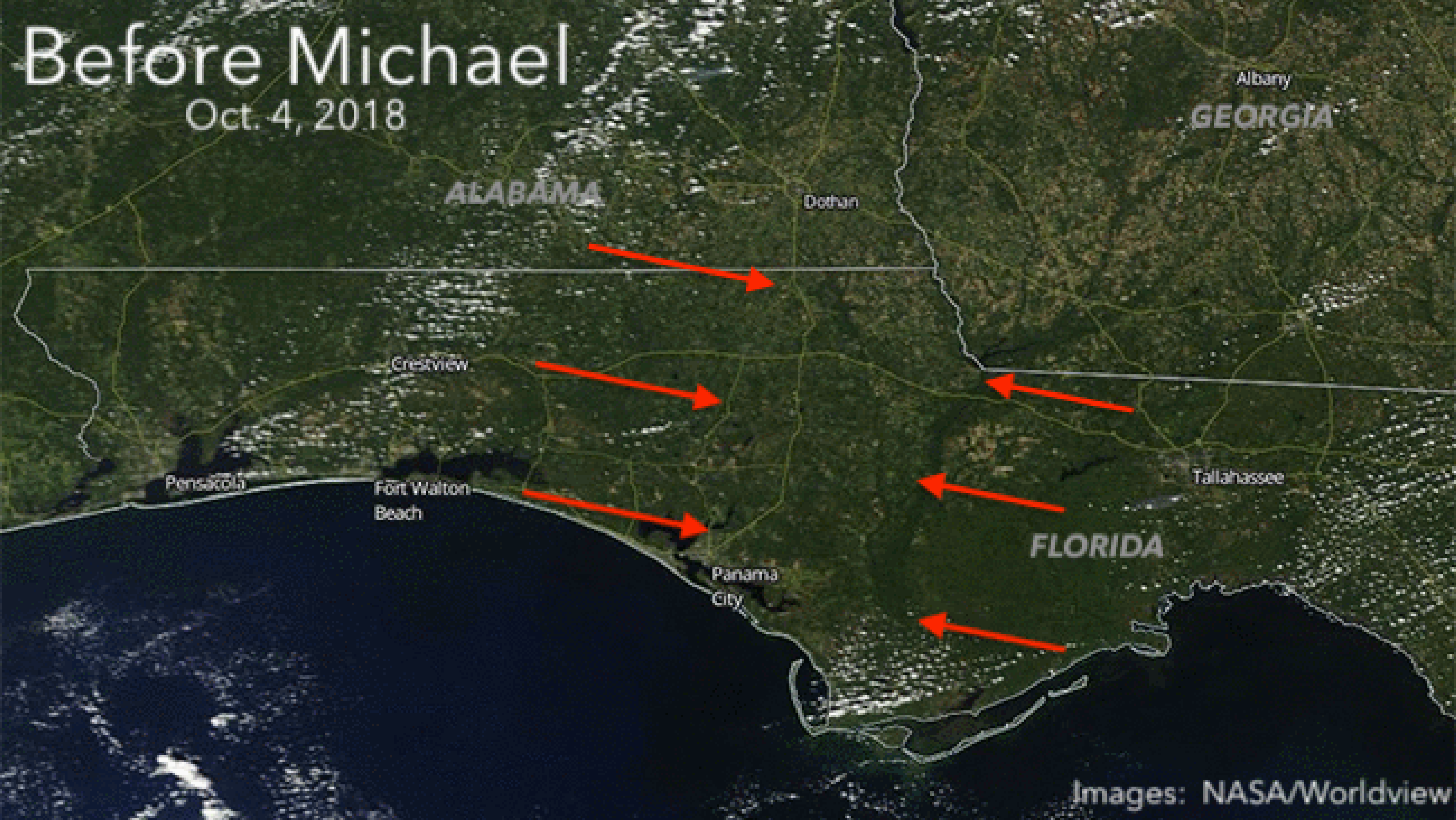 Satellite images showing the change in forestry before and after Hurricane Michael. Loss of trees is shown in the brighter brown colors. 