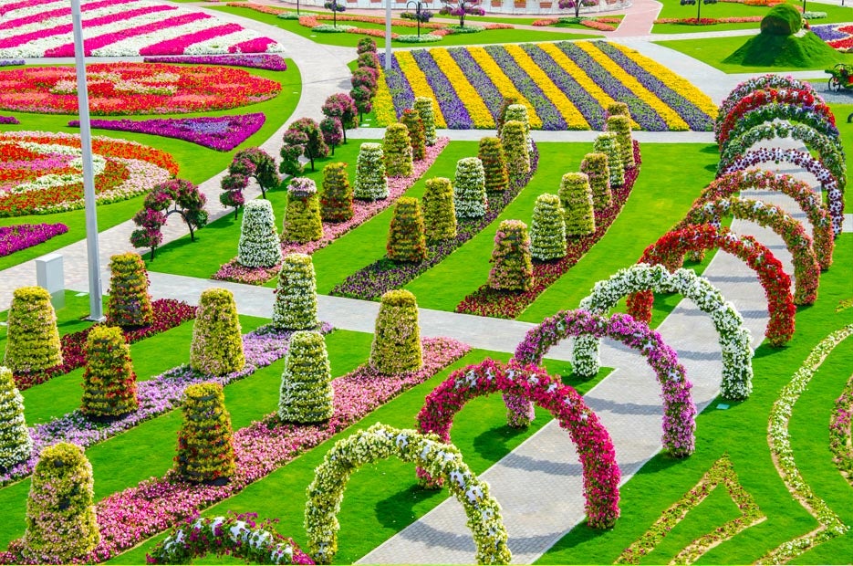 World's Largest Natural Flower Garden Opens in Dubai