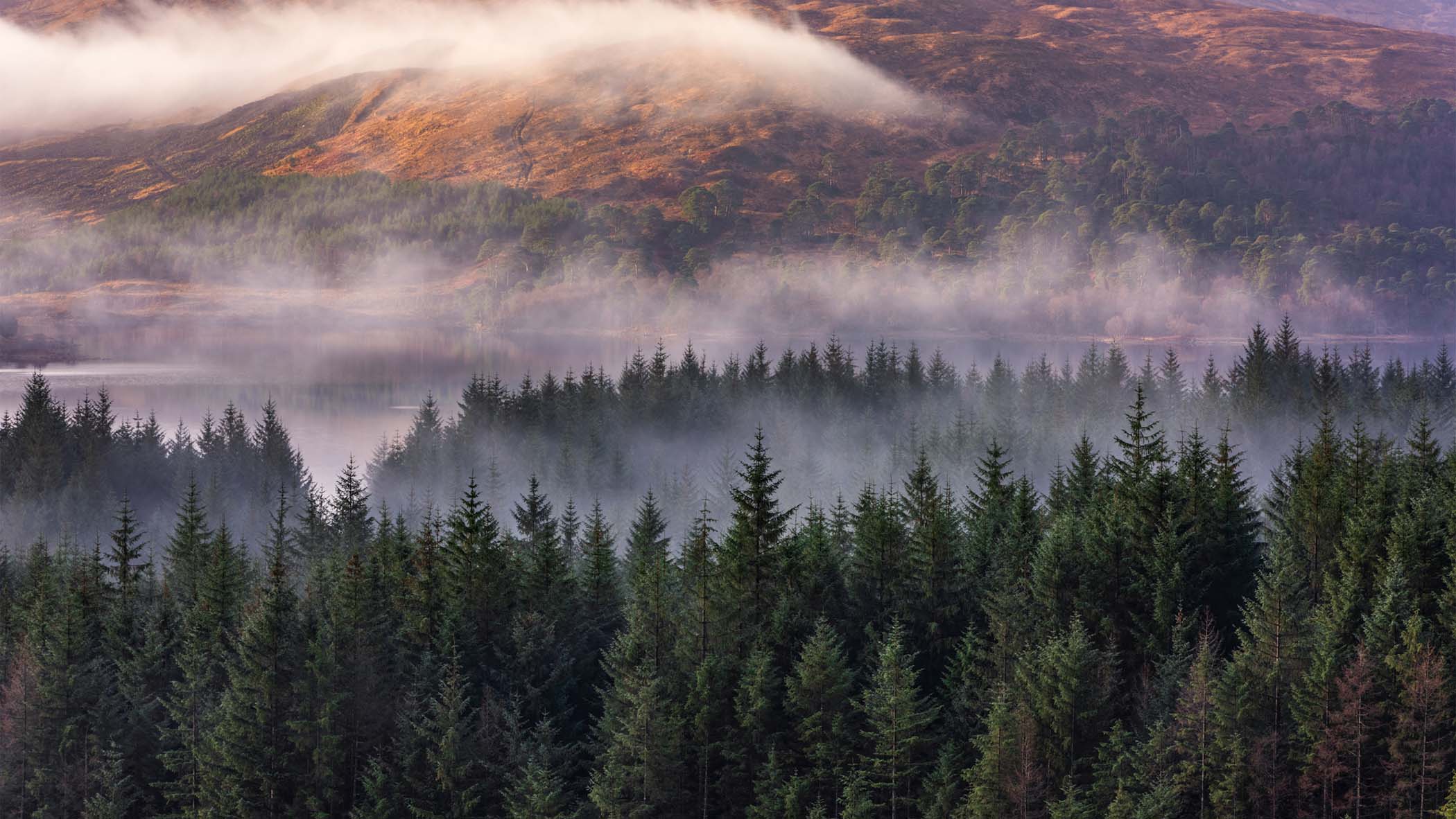 Pilot Grove Coop News