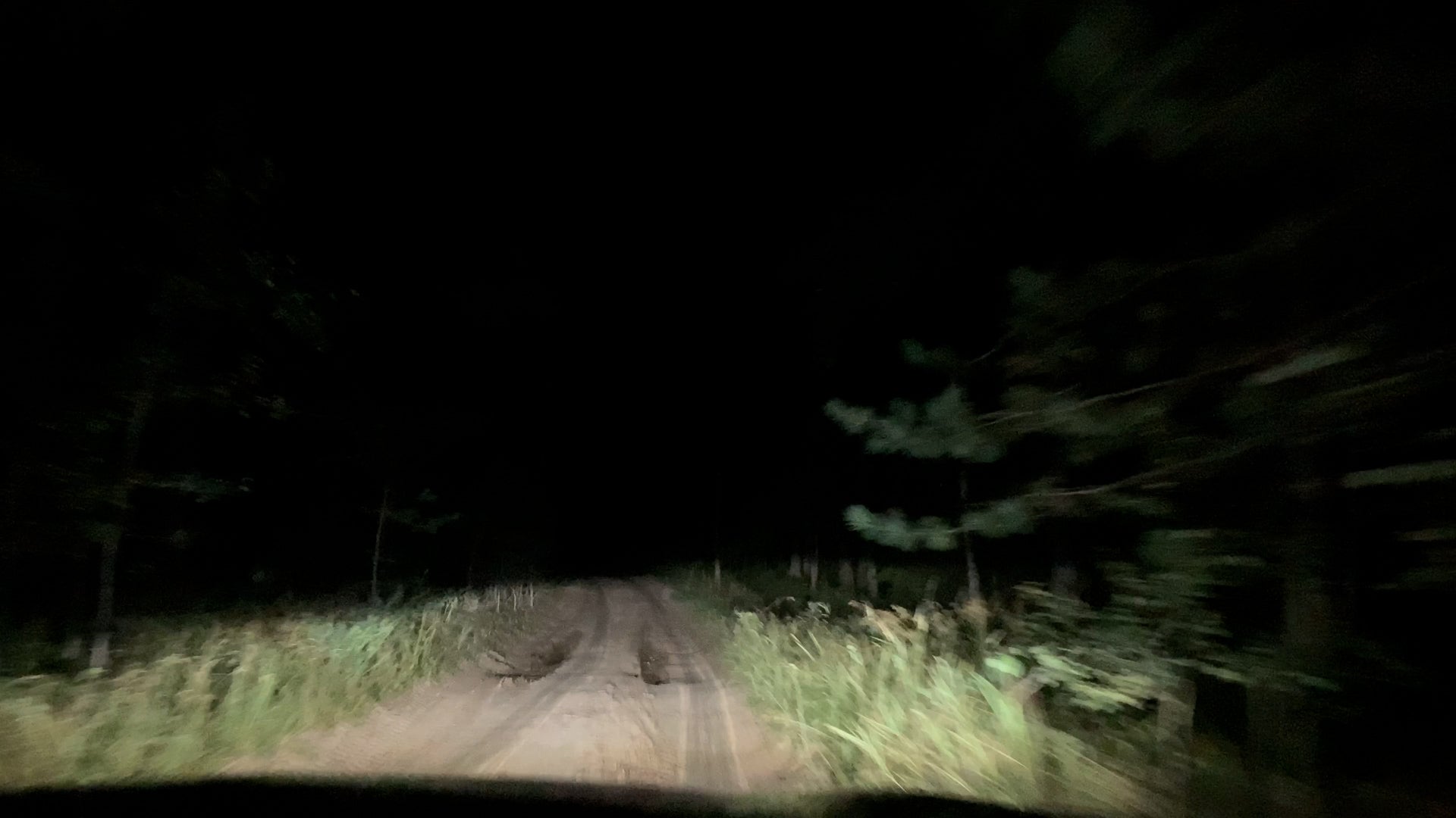 Wildlife-Vehicle Collisions Rise During Full Moons