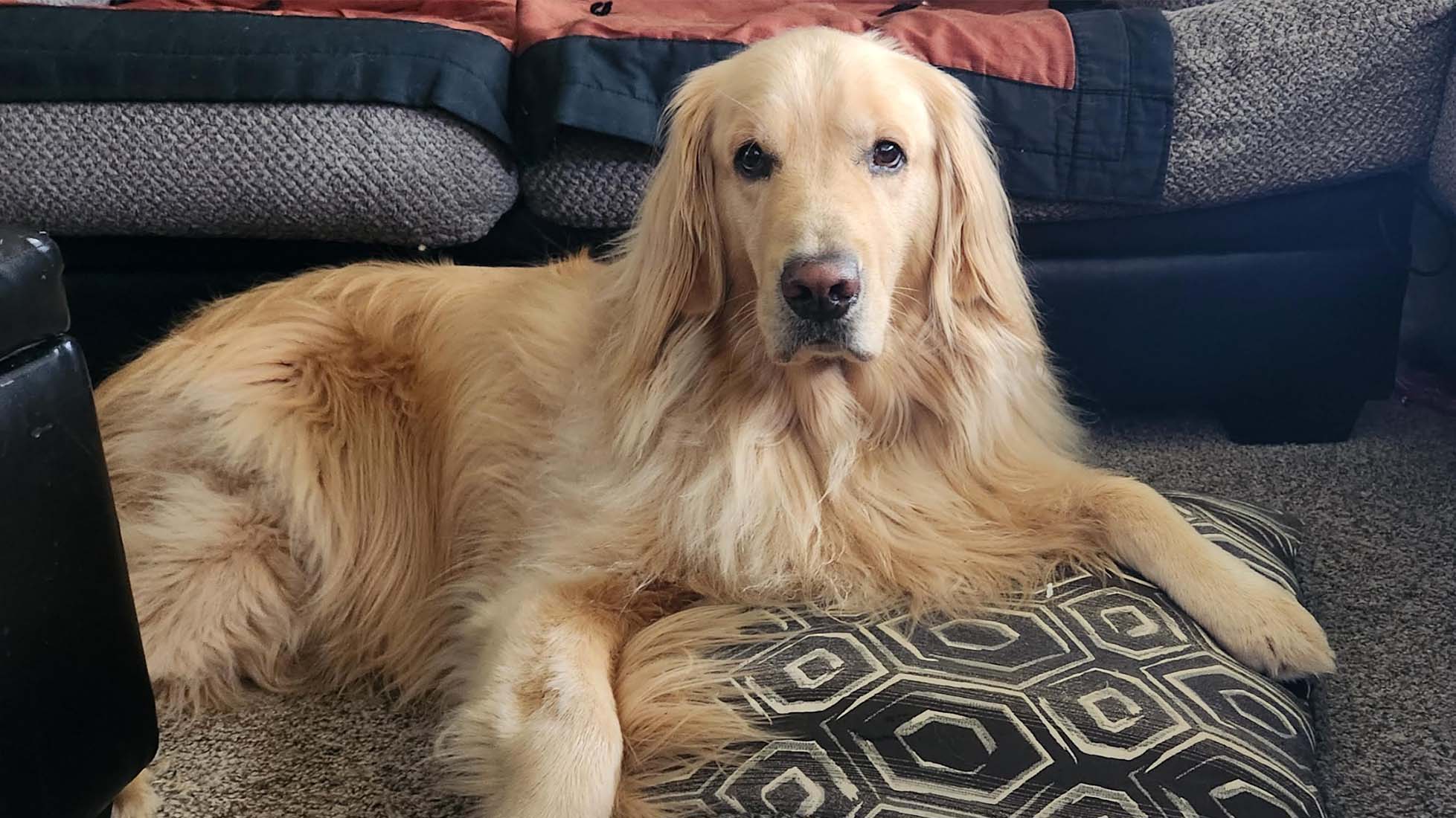 Weather Buddies: 'Murphy'