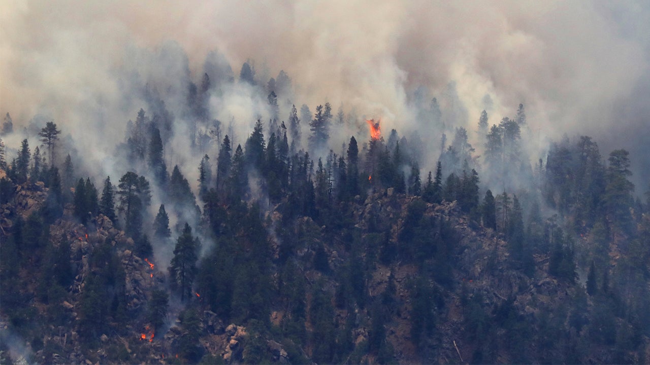 Arizona Wildfire Burning Near Flagstaff Forces Evacuations The