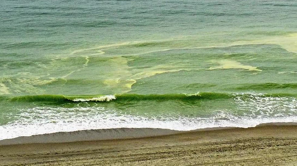 Yellow Coated Waves Are Bad News