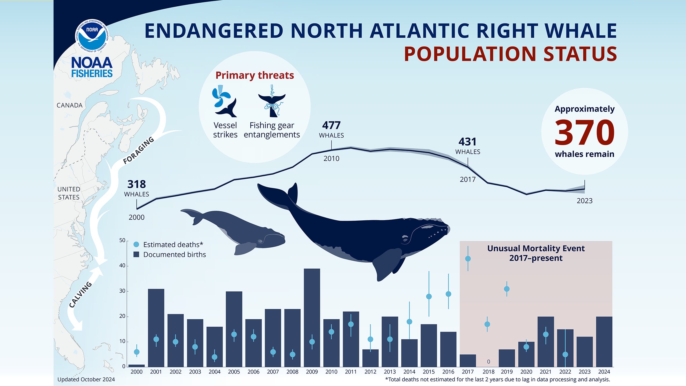 narw_population_stats_from_noaa_16x9.jpg