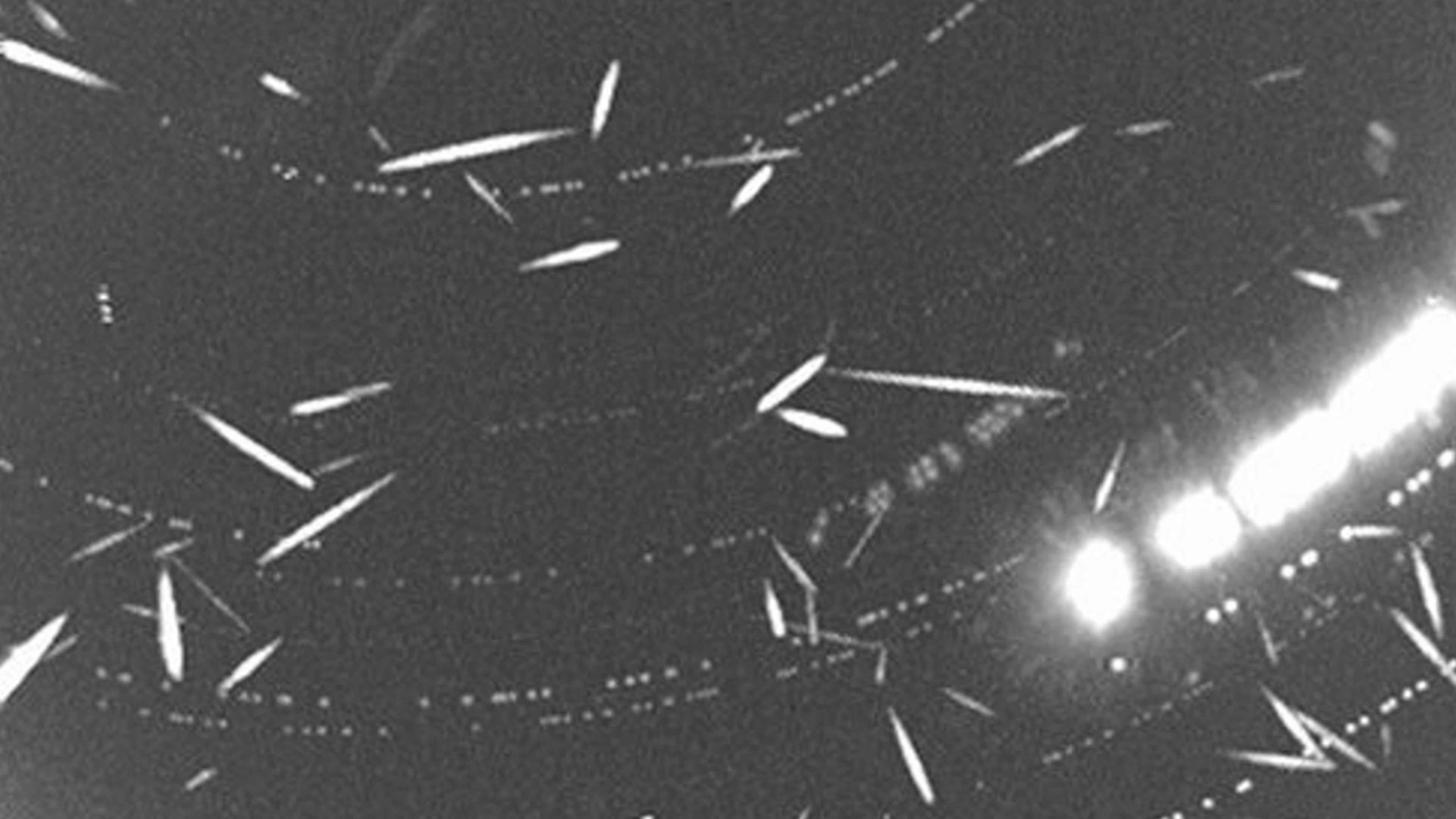 nasa_geminid.jpg
