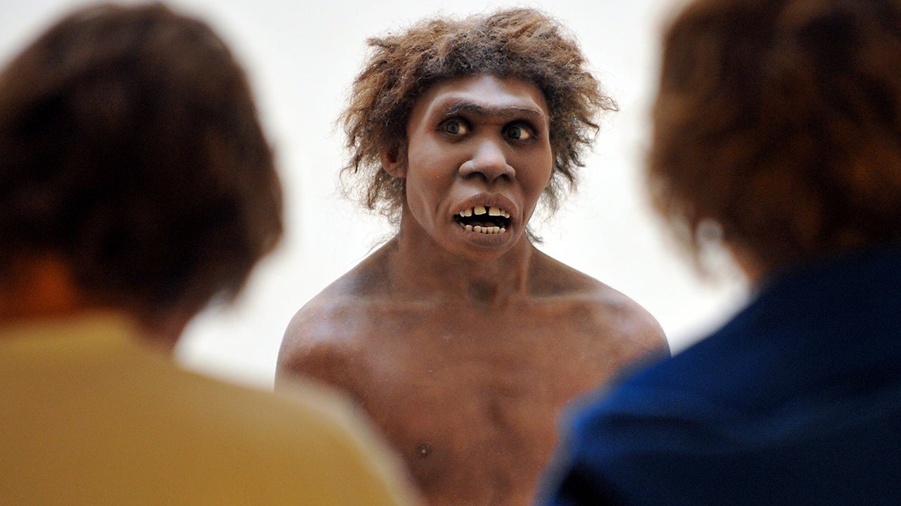 Have Allergies? You Might Thank Your Neanderthal Genes