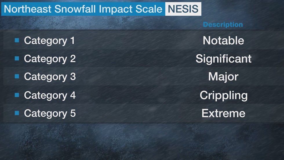nesis-scale.jpg