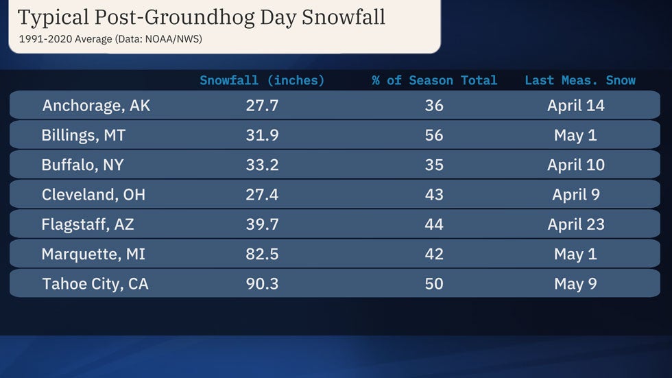 newpost-groundhog-day-snowfall.jpg