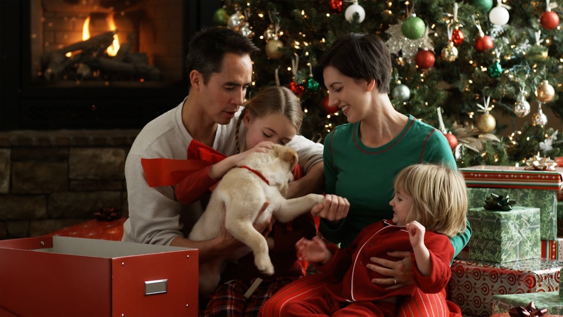 Giving A Pet As A Gift? Think Twice, Animal Experts Say