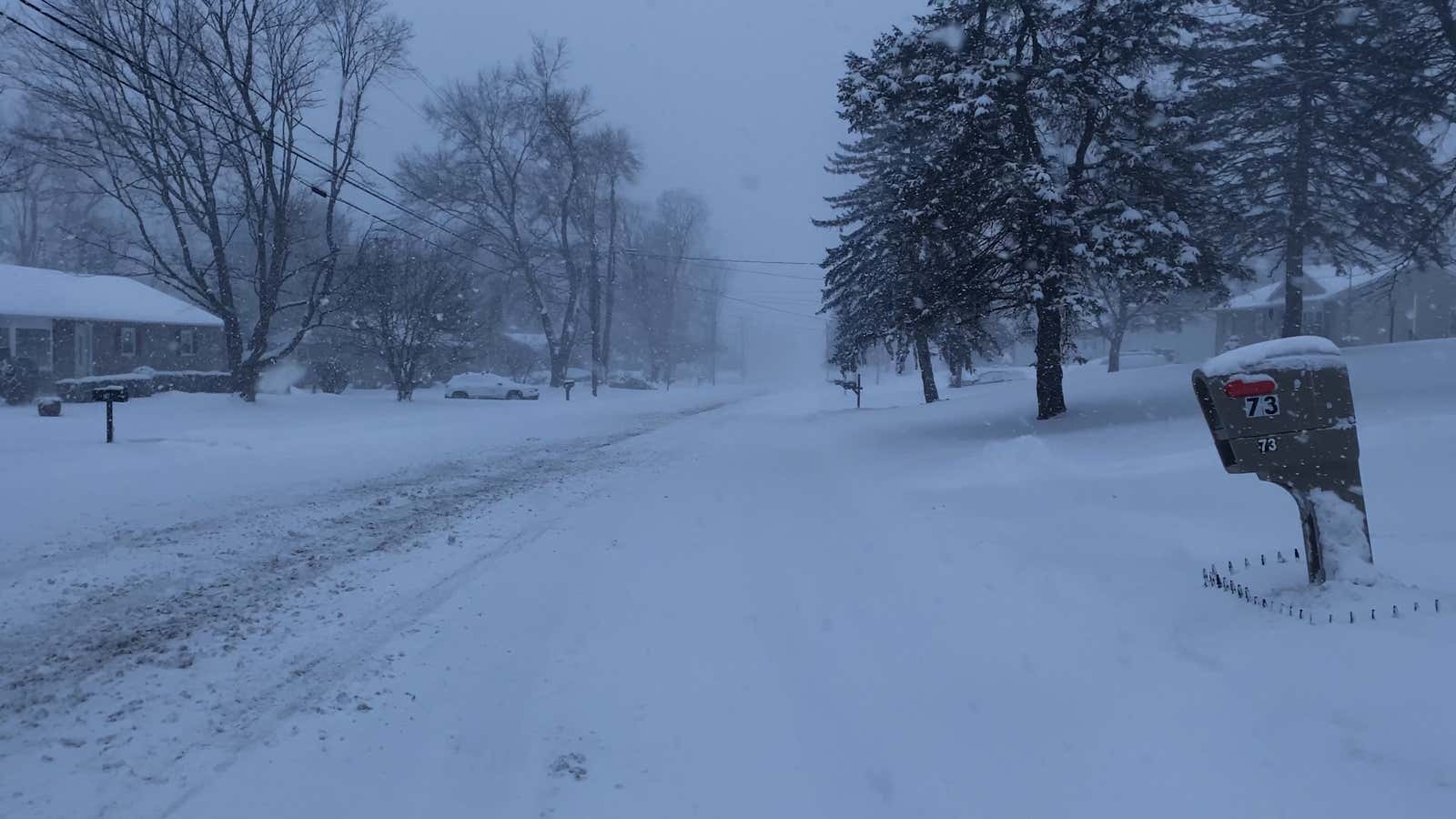 23 U.S. States Declare Emergencies as Winter Storm Threatens 200 Million — image 5