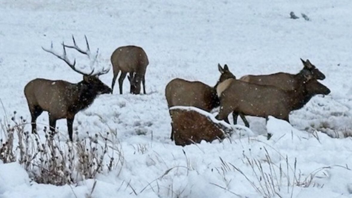 Colorado's First Noticeable Snowfall Of The Season | Weather.com