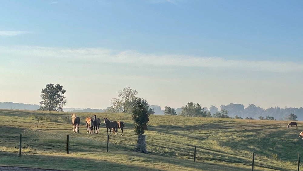 Data Centers And Farmers At Odds Over Dwindling Water Resources In Ohio
