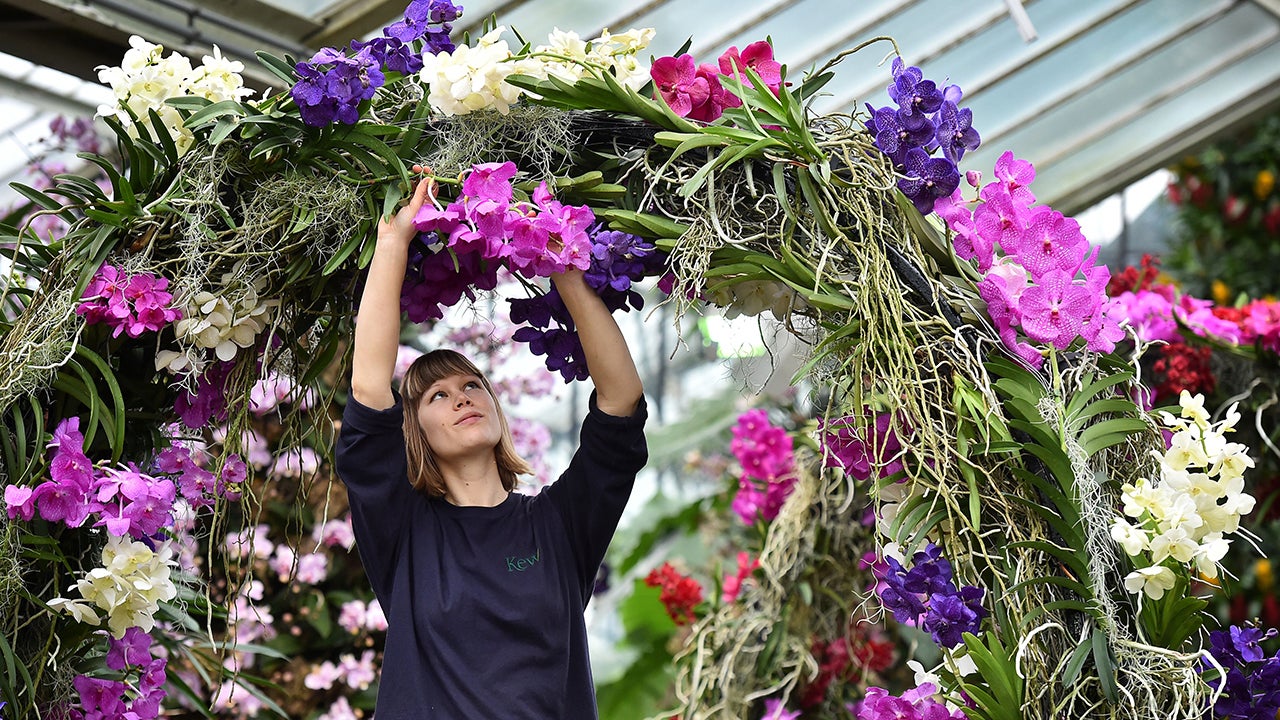 So Many Flowers, So Little Time: Photos From London's Orchids Festival