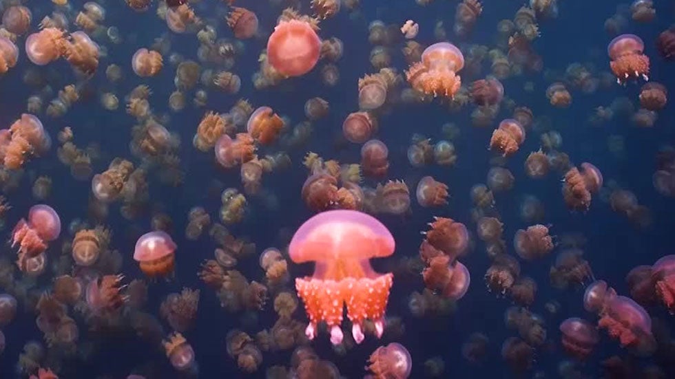 Germantown, MD 10Day Weather Forecast The Weather Channel