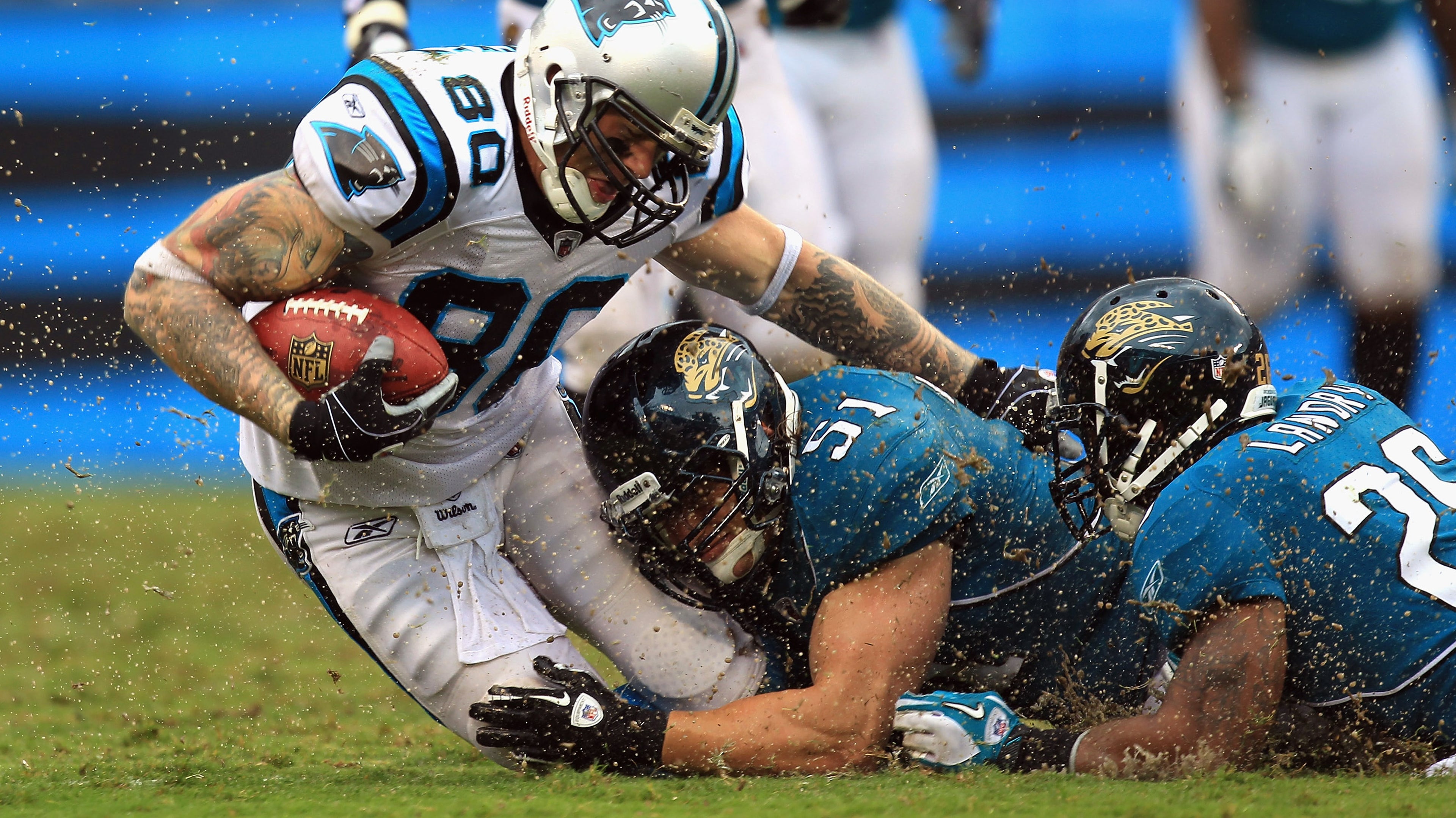 panthersppoz.jpg