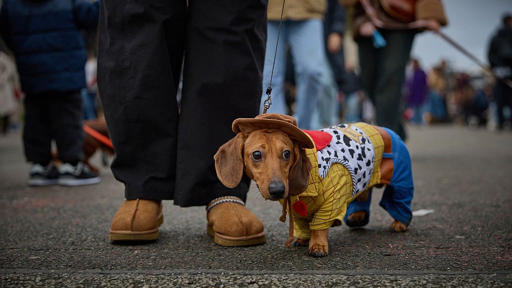 Paris Goes To The (Weiner) Dogs 