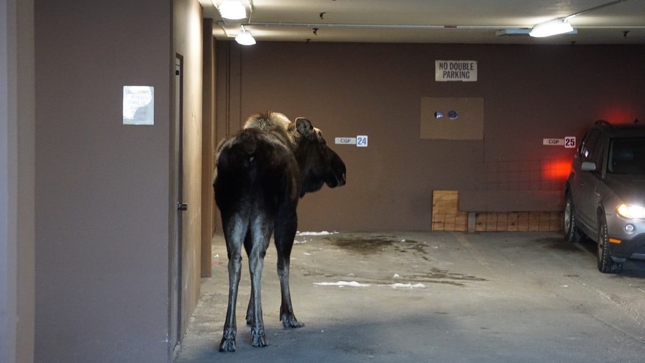 parking-garage-alaska.jpg