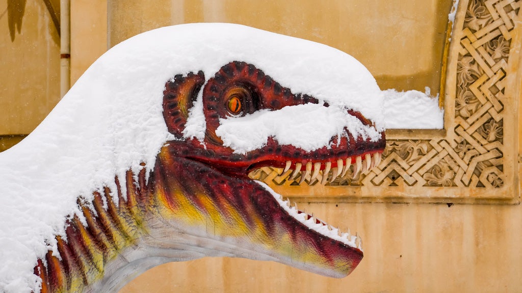 Weather Of The World: February 15-22