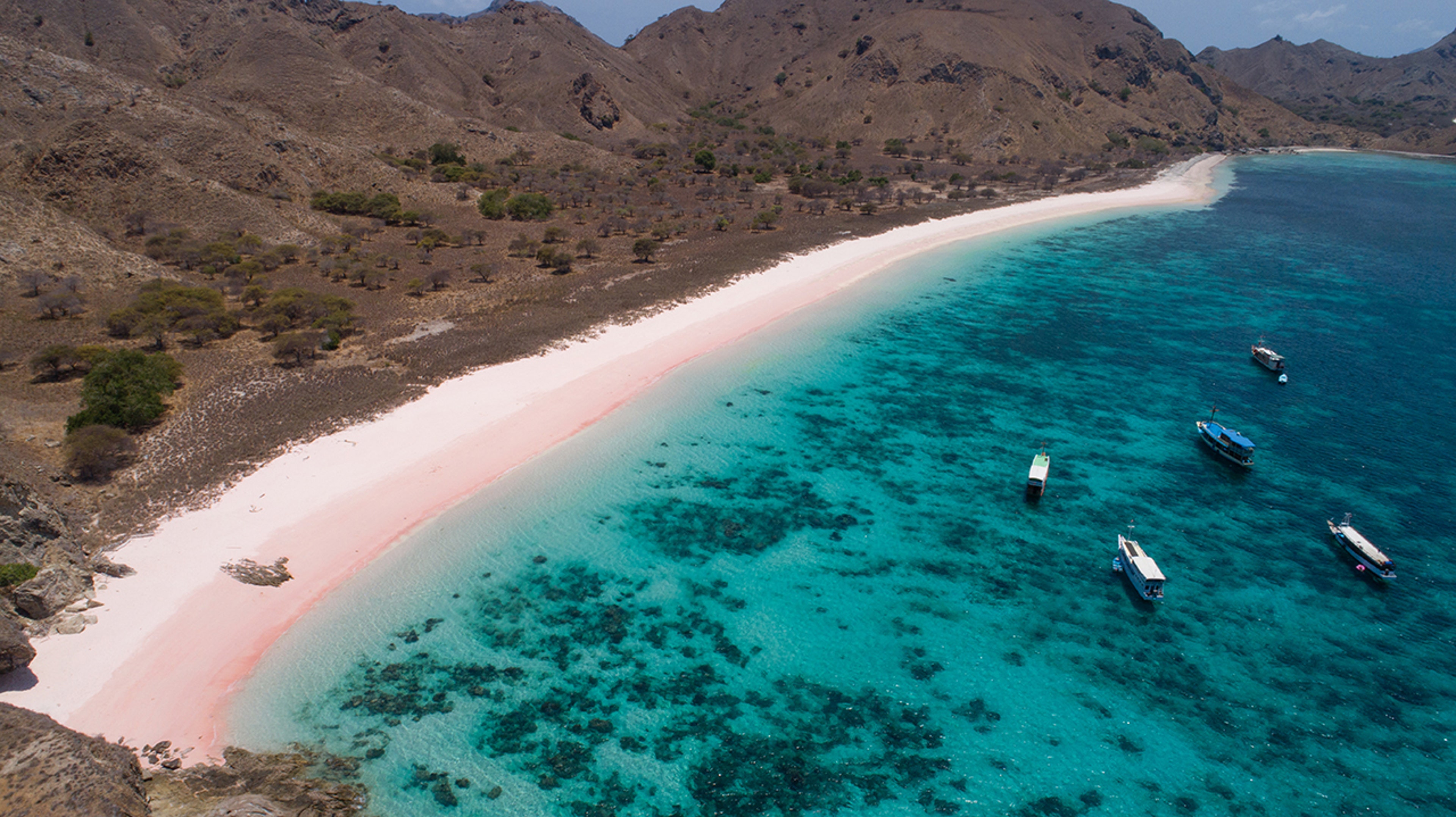 pink_beach_komodo_island_indonesia.jpg
