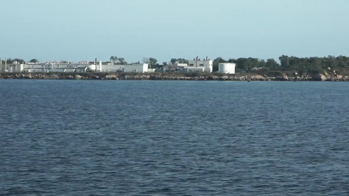 Environmentalists Fight To Save Plum Island, One of America's Most