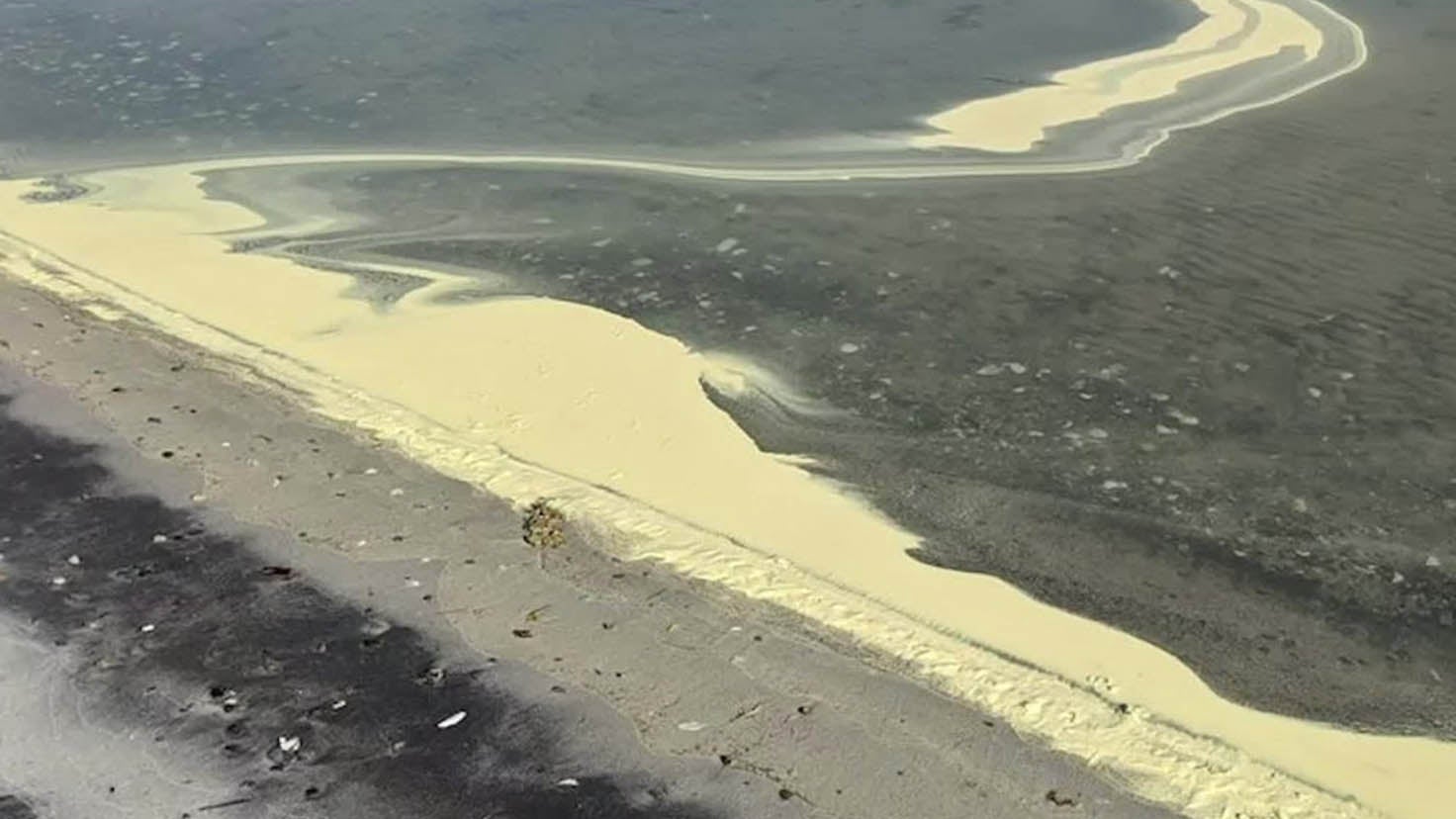 Pollen, Not Paint, Piled Along Maryland Shoreline Pollen, Not Paint, Piled Along Maryland Shoreline