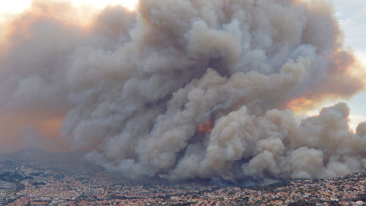 'Scene Really Like the End of the World': Powerful Infernos Sweep through Portugal, France, Forcing Thousands to Evacuate