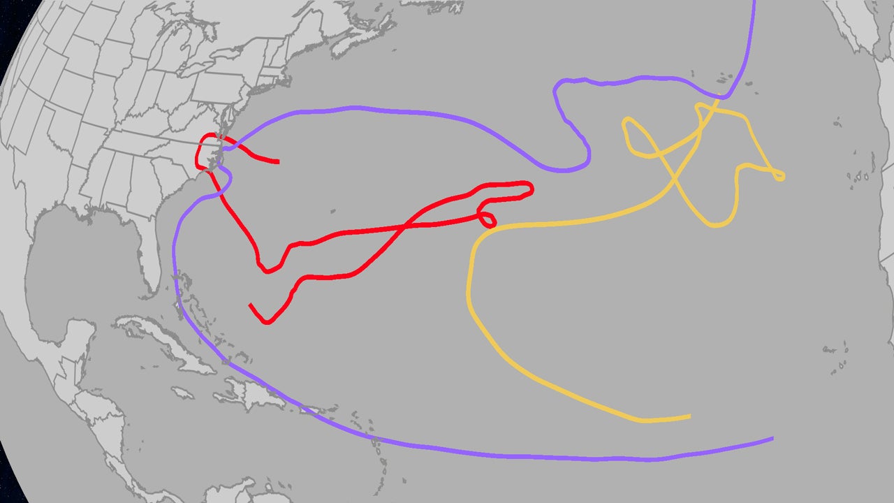 Atlantic Hurricane Season's 3 Longest-Lived Storms And The World's Record All Lasted For Weeks
