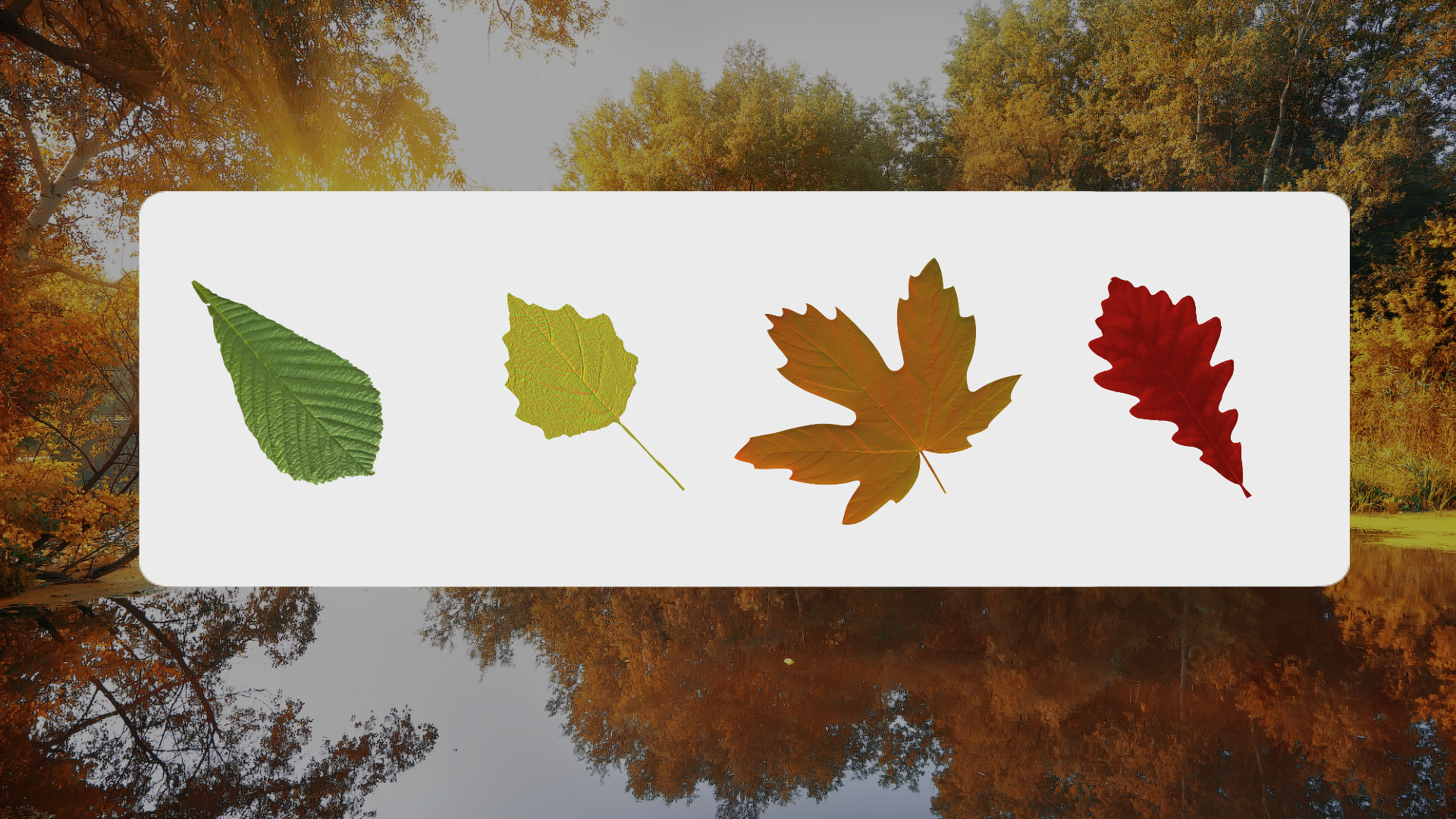 Peeping Into What Makes Fall Color So Vibrant Weather Underground