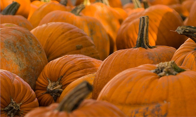 Pumpkin is Hottest New Flavor