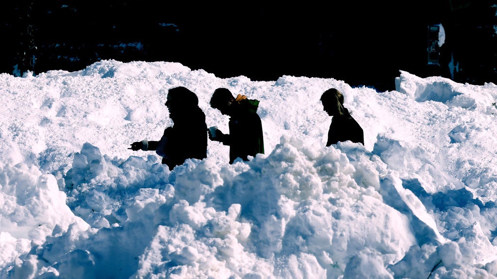 Brown University students walk on the campus, Tuesday, Feb. 24, 2026, in Providence, R.I. (AP Photo/Mark Stockwell)