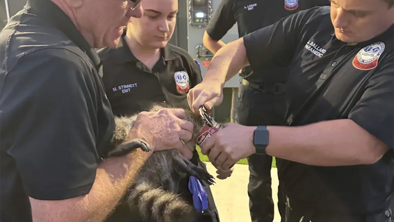 Paramedics Rescue Raccoon Stuck In Soup | Weather.com
