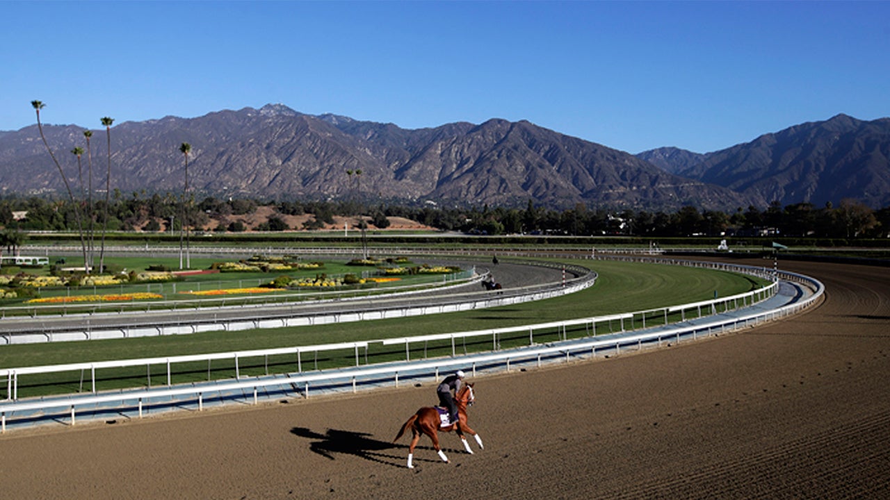 California s Santa Anita Track Cancels Racing After 21 Horses Die Rain 
