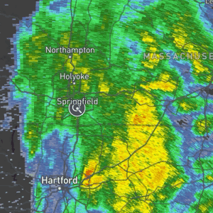 Animated future radar forecast