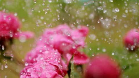 Homes, Trees Ripped Apart In Kentucky - Videos from The Weather Channel