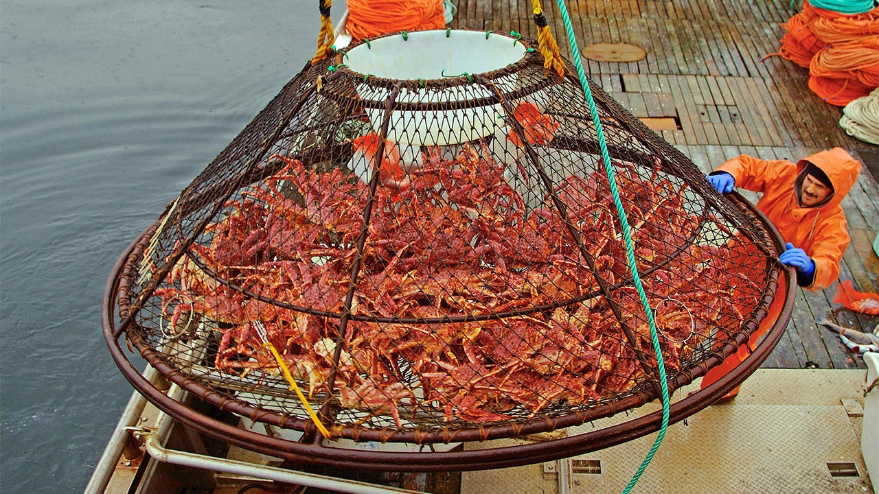 Ocean Acidification Threatens Alaska's Red King Crab Weather Underground