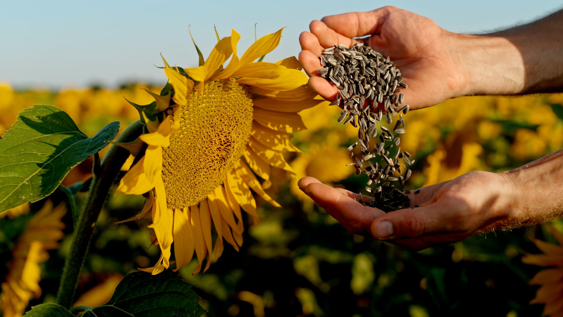 Secret Weapon Kitchen Staples To Power Up Your Immune System